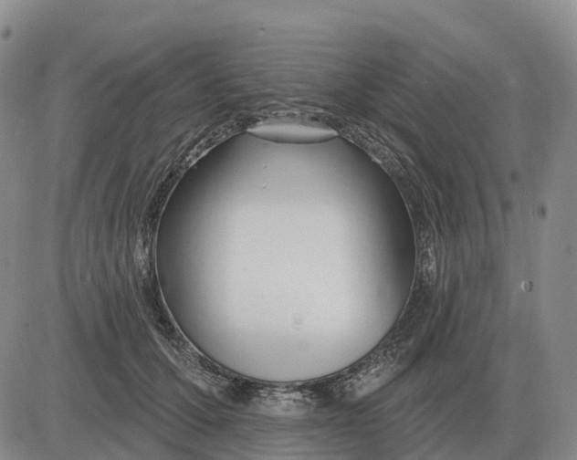 X0000083020607200702231840