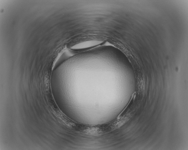 X0000083020609200702231840