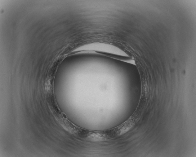 X0000083020611200702231840
