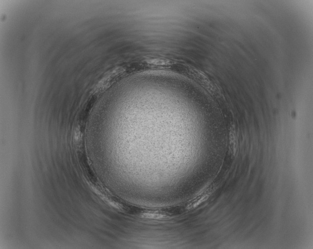 X0000083020614200702231839