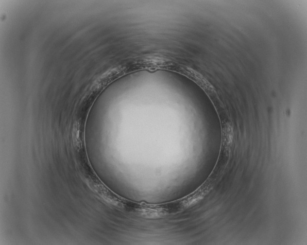 X0000083020615200702231839