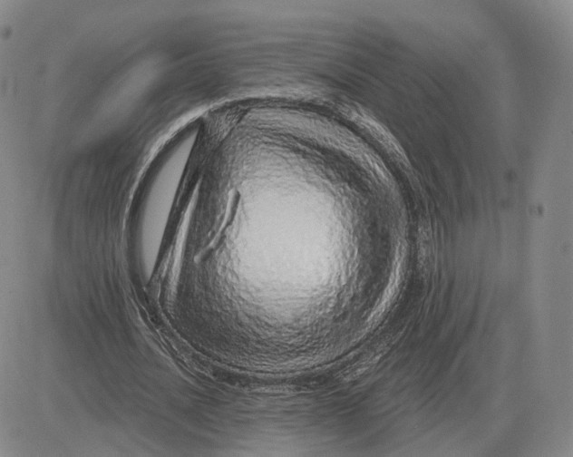 X0000083020628200702231839