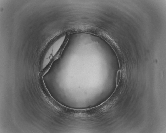 X0000083020637200702231839