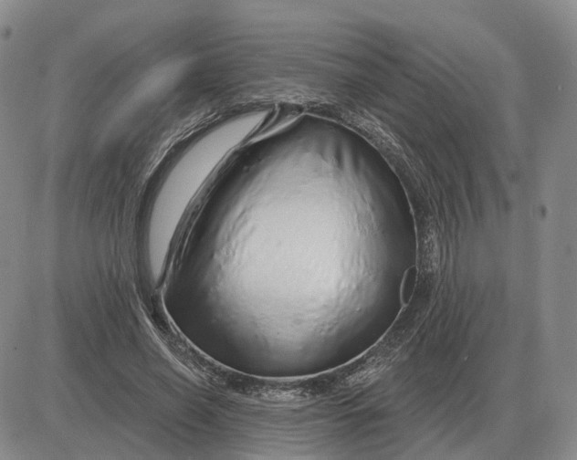 X0000083020638200702231839