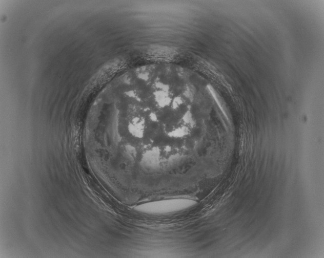 X0000083020641200702231839
