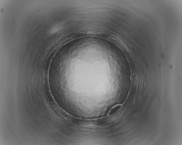 X0000083020643200702231839