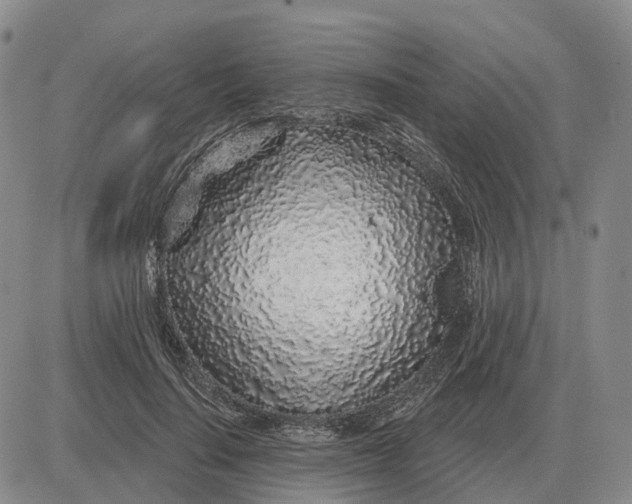 X0000083020644200702231839