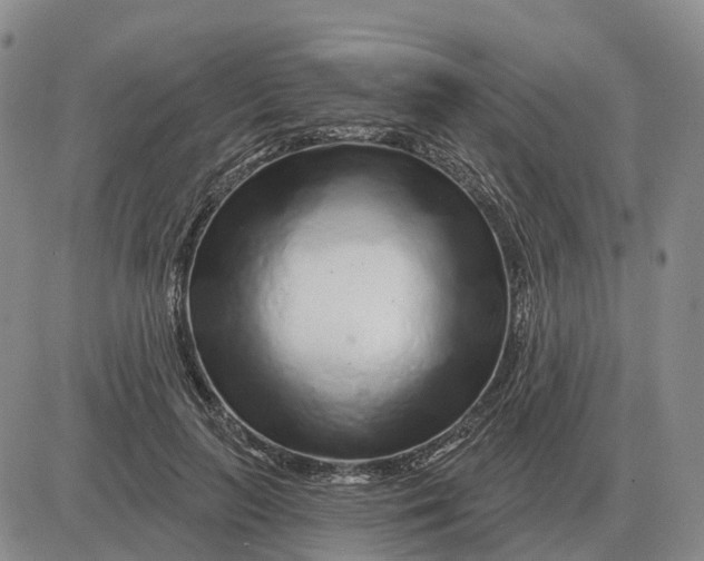 X0000083020647200702231839