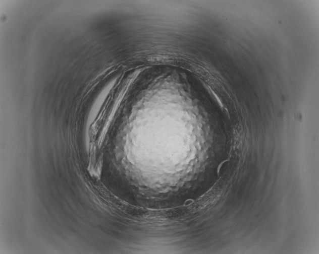 X0000083020648200702231839
