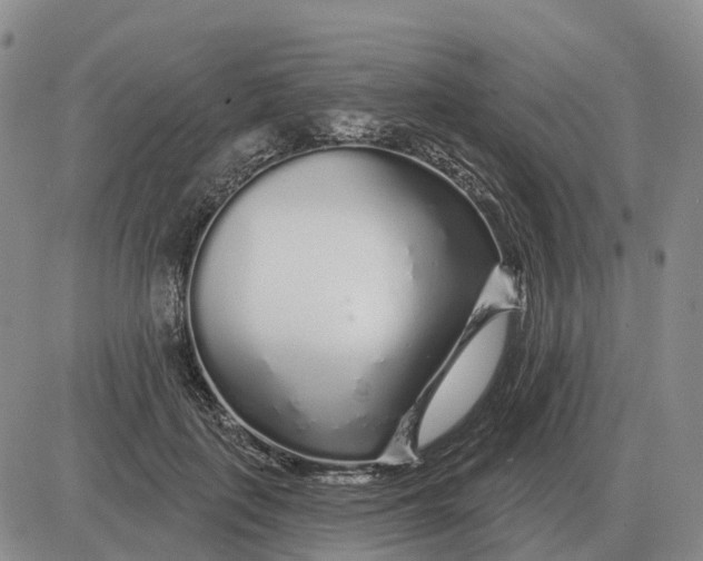 X0000083020651200702231839