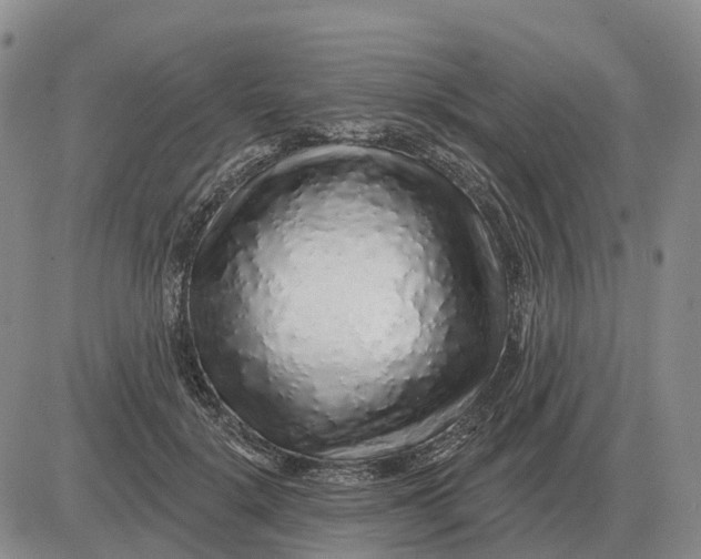 X0000083020652200702231839