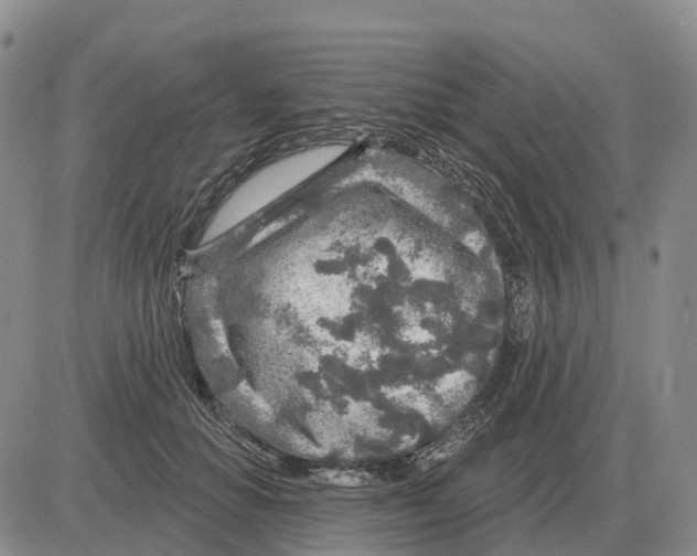X0000083020654200702231839
