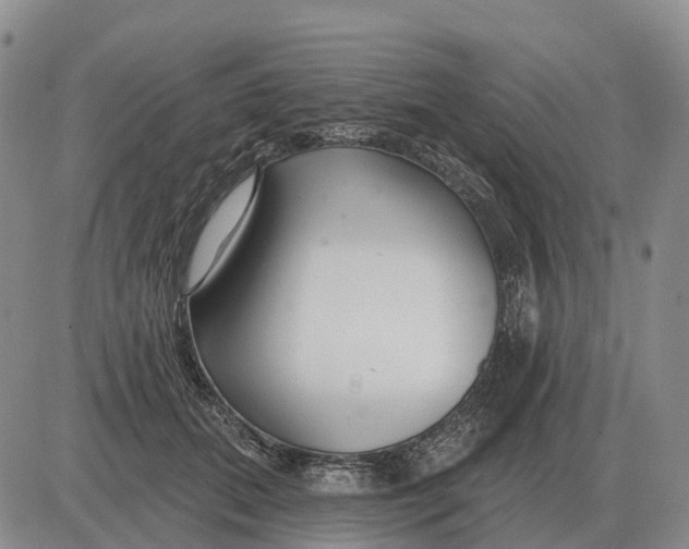 X0000083020655200702231839