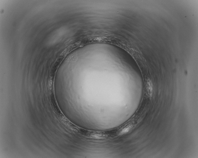 X0000083020657200702231839
