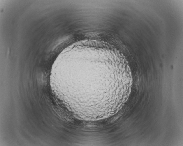 X0000083020658200702231839