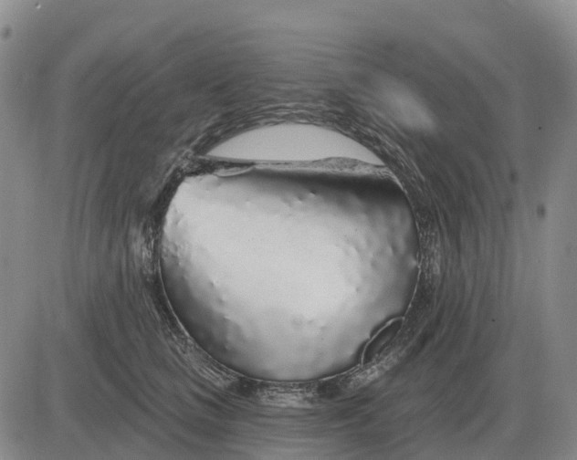X0000083020661200702231839