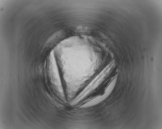 X0000083020662200702231839