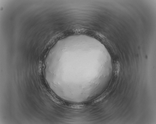 X0000083020664200702231839