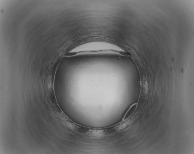 X0000083020665200702231839