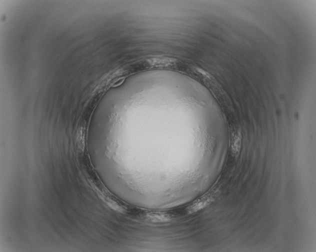 X0000083020666200702231839