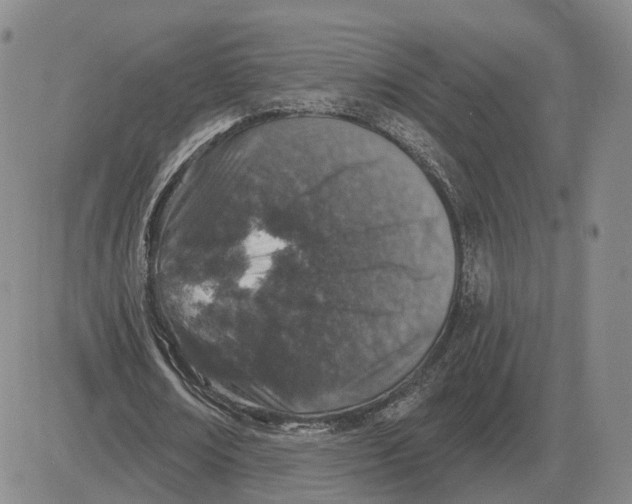 X0000083020674200702231838