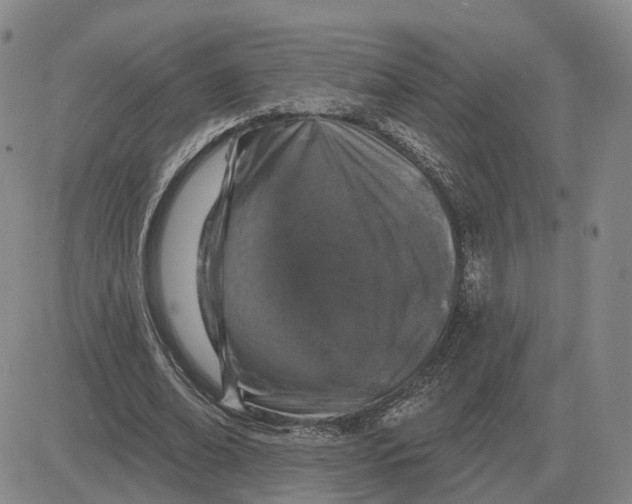 X0000083020678200702231838