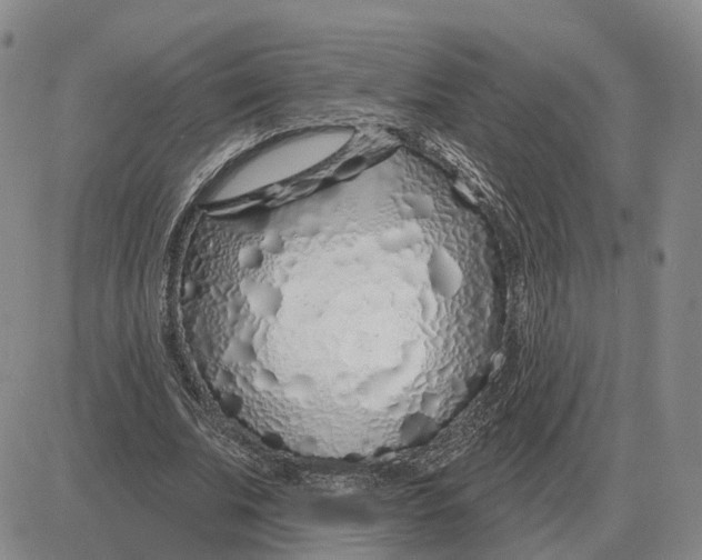 X0000083020679200702231838