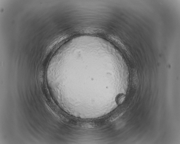 X0000083020683200702231838