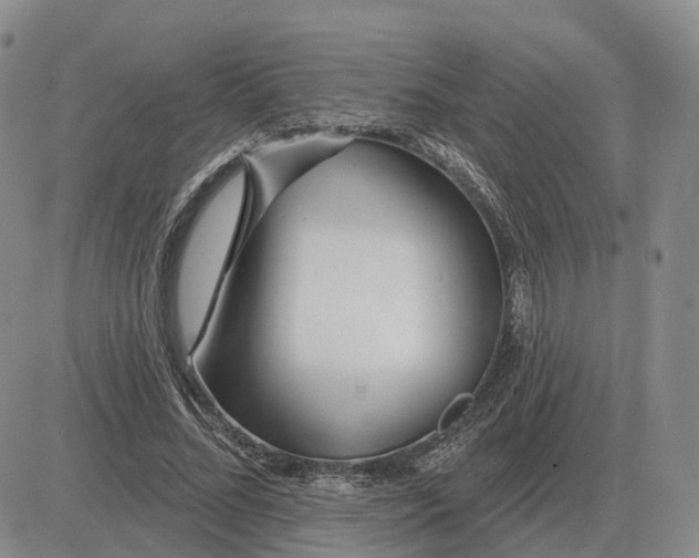 X0000083020684200702231838