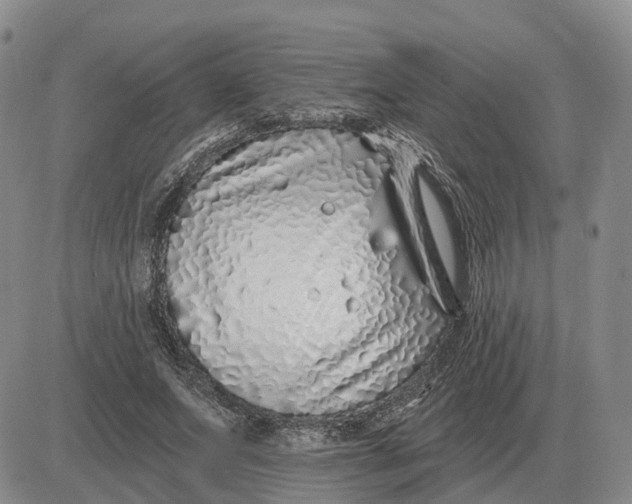 X0000083020687200702231838