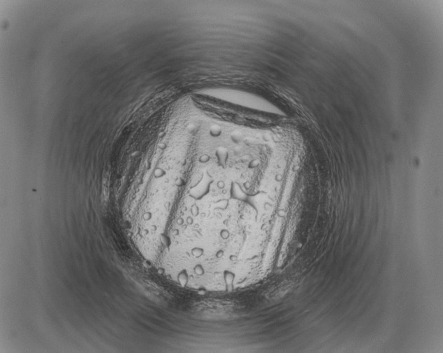 X0000083020691200702231838