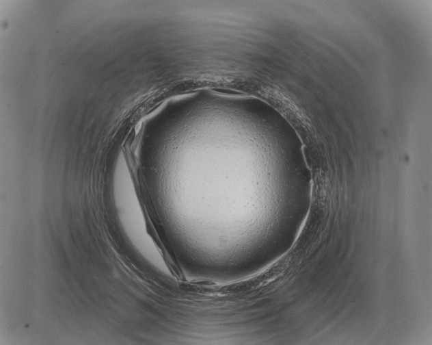 X0000083020692200702231838