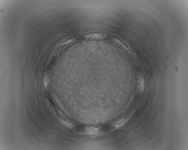 X0000083020701200702231838