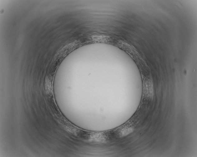 X0000083020705200702231838