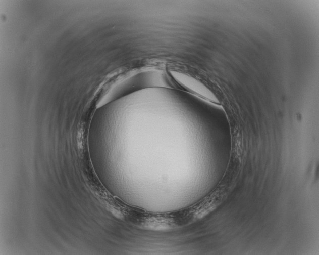 X0000083020708200702231838