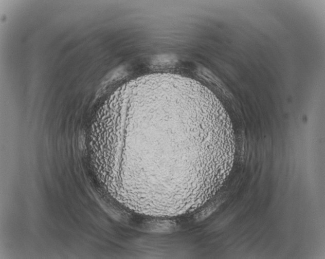 X0000083020711200702231838