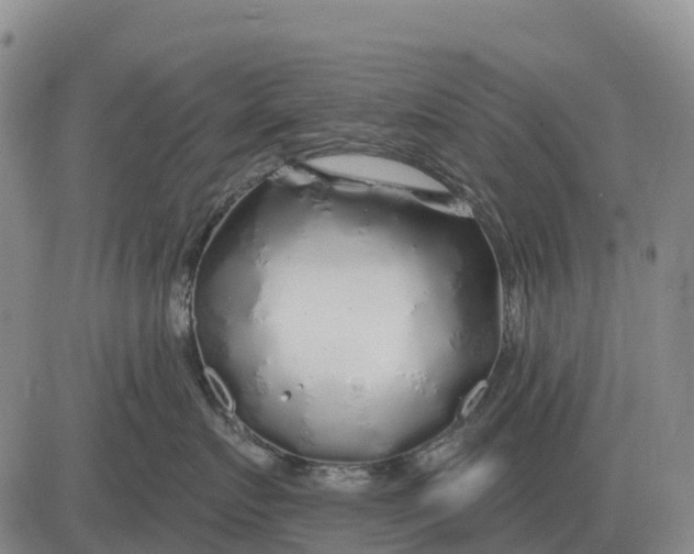 X0000083020719200702231838