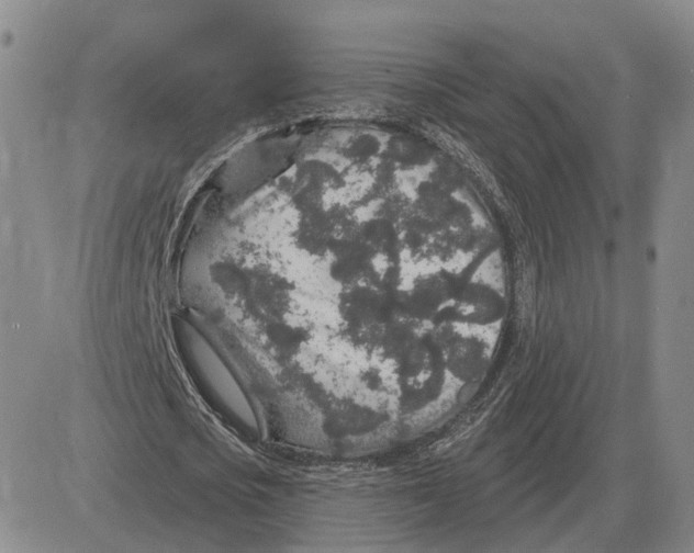 X0000083020721200702231837
