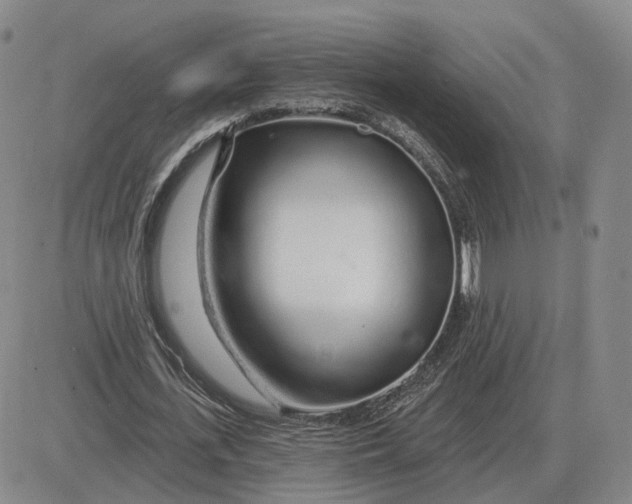 X0000083020723200702231837