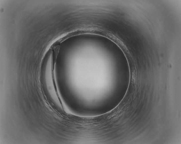 X0000083020724200702231837