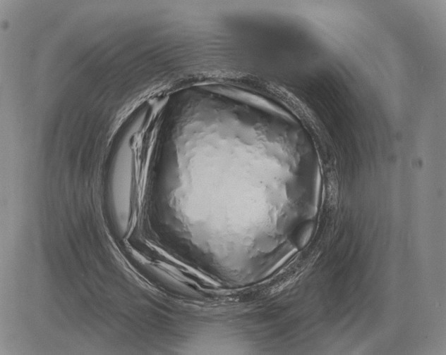 X0000083020725200702231837