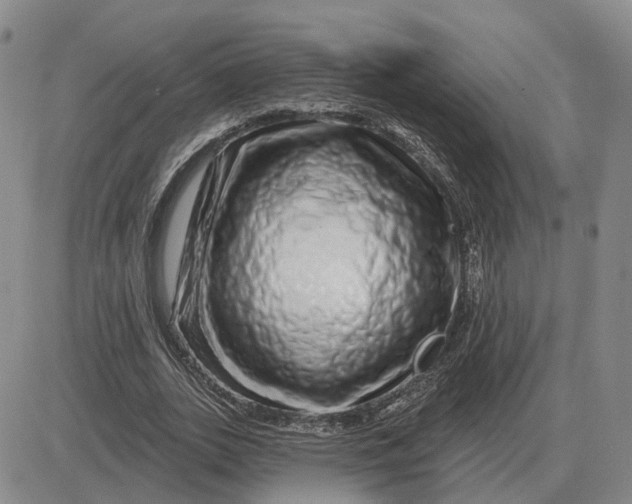 X0000083020727200702231837