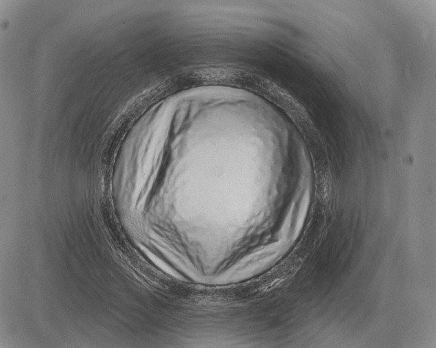 X0000083020733200702231837