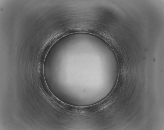X0000083020735200702231837