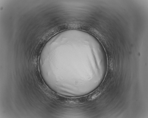 X0000083020737200702231837