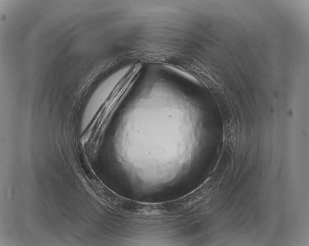X0000083020742200702231837