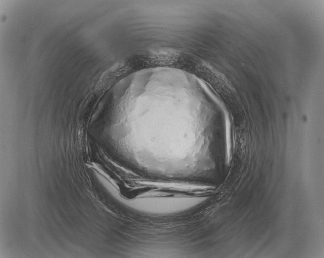 X0000083020745200702231837
