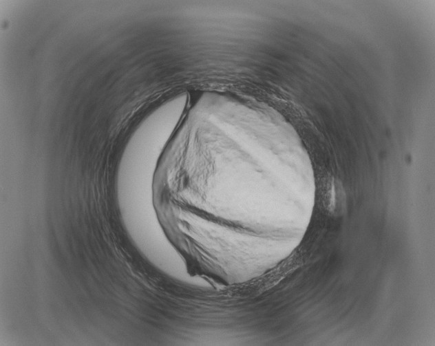 X0000083020746200702231837