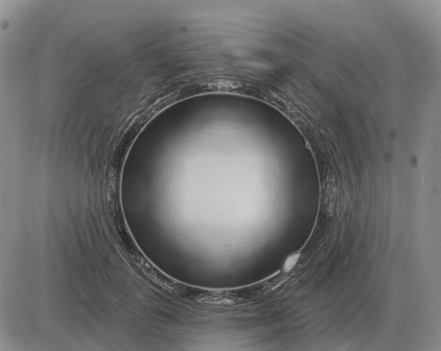 X0000083020747200702231837