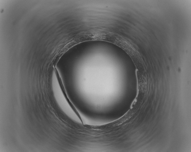 X0000083020748200702231837
